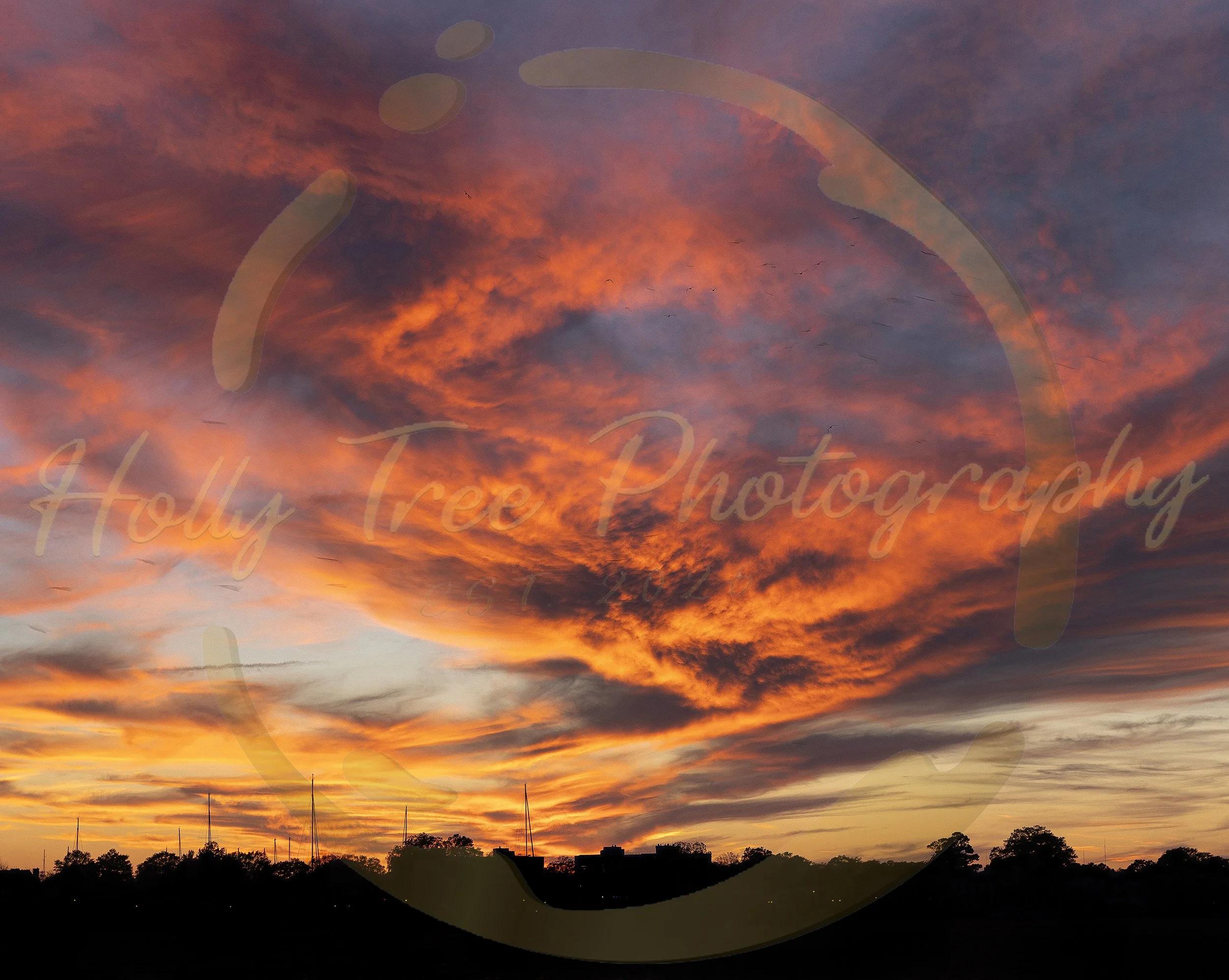 Sky of Fire, 2025.
16 X 24 Inches.
Digital Photograph