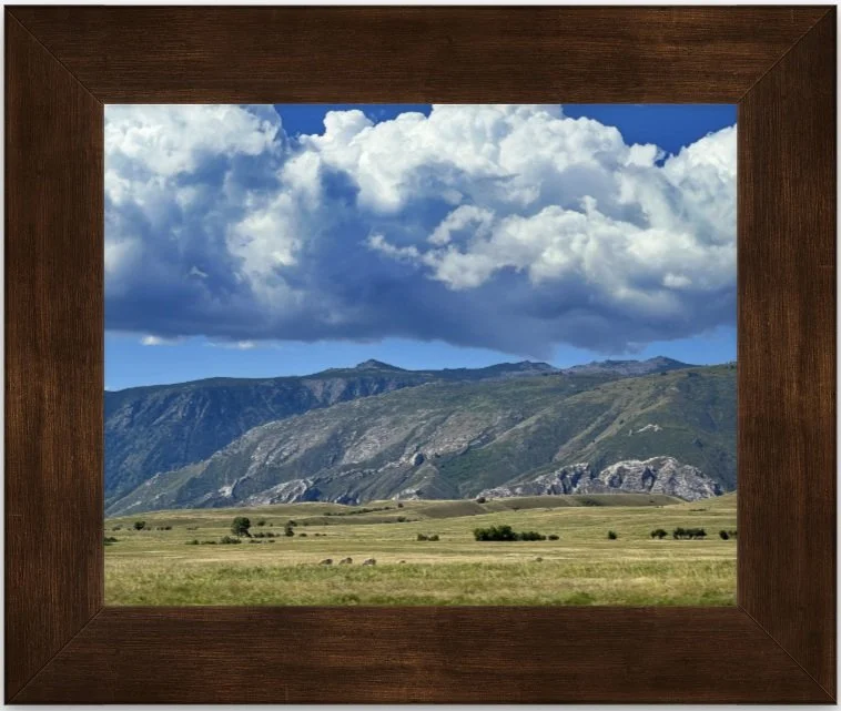 wide open spaces 8x10 framed.jpg