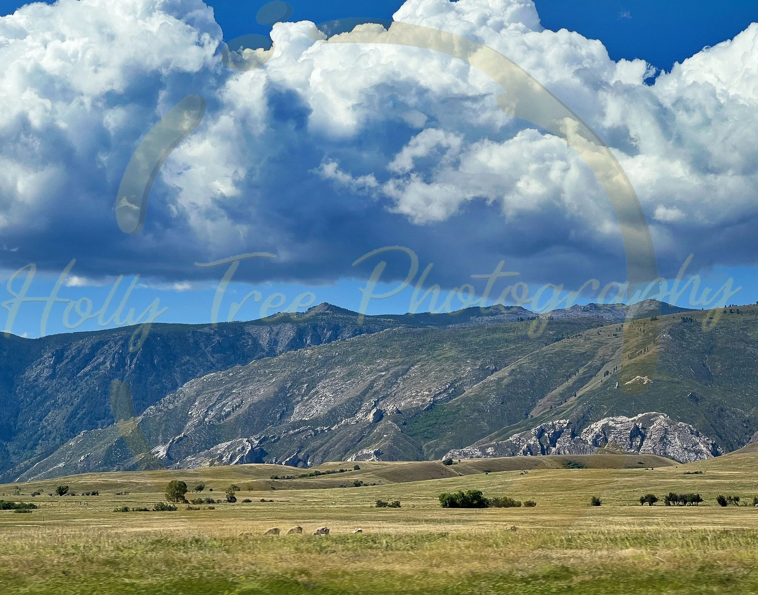 Wide Open Spaces, 2025. 
16 X 20 Inches. 
Digital Photograph