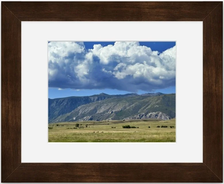 wide open spaces 8x10 matted framed.jpg