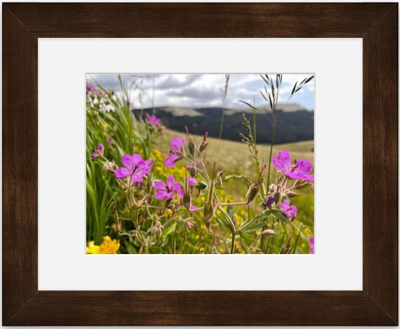 wildflowers 8x10 matted framed.jpg