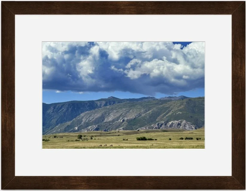 wide open spaces 8x12 matted framed.jpg
