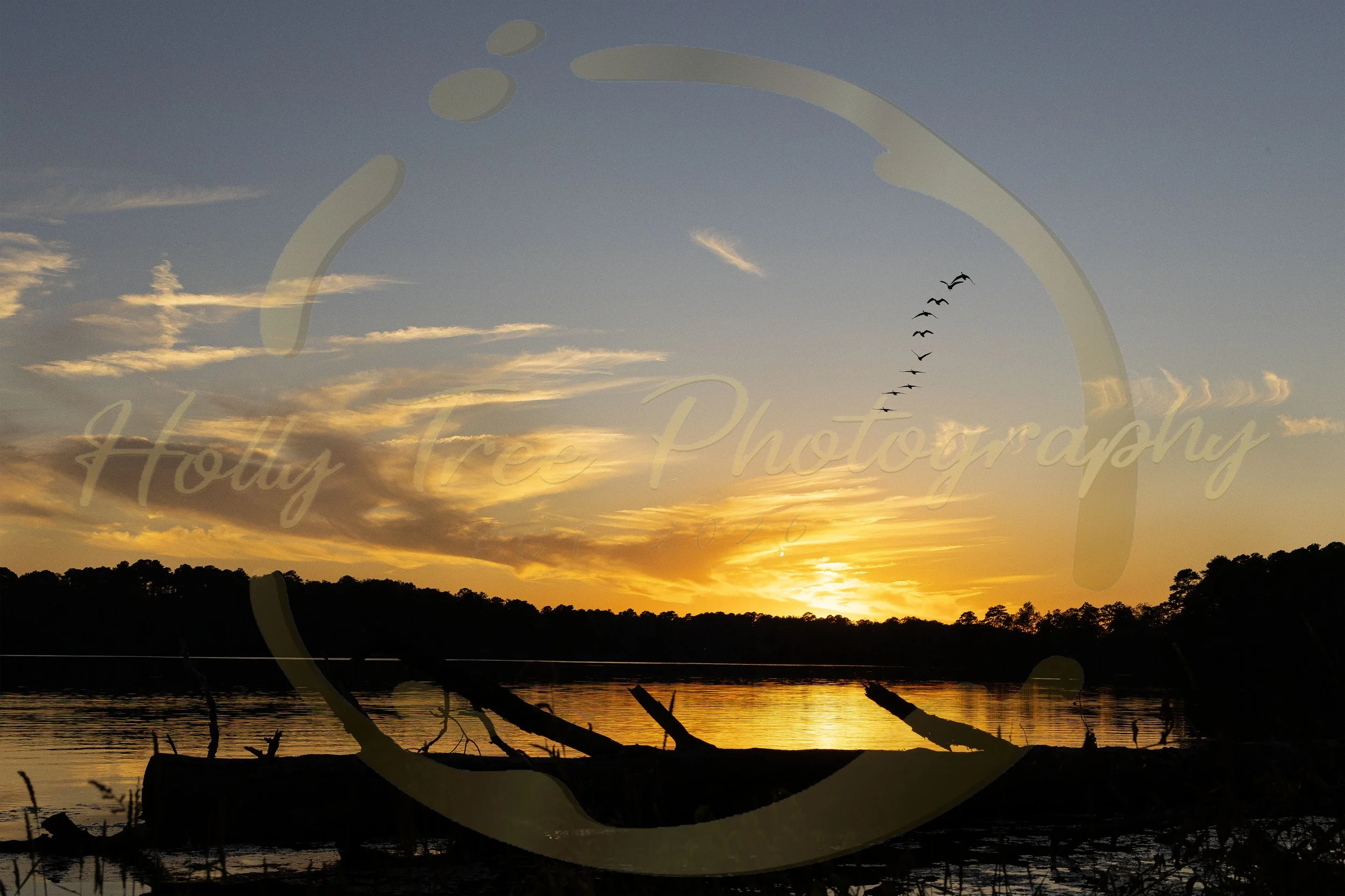 Golden Shore, 2025.
16 X 24 Inches.
Digital Photograph