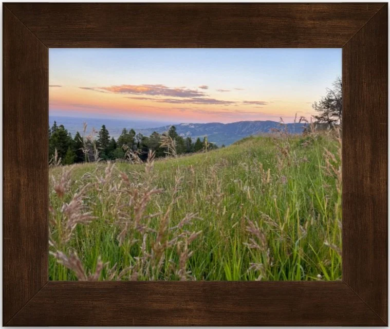 Peace 8x10 framed.jpg