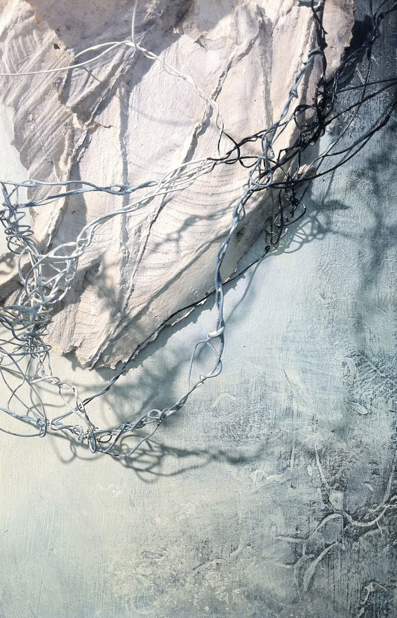 Screenshot 2026-03-18 at 11.44.59 AM.png