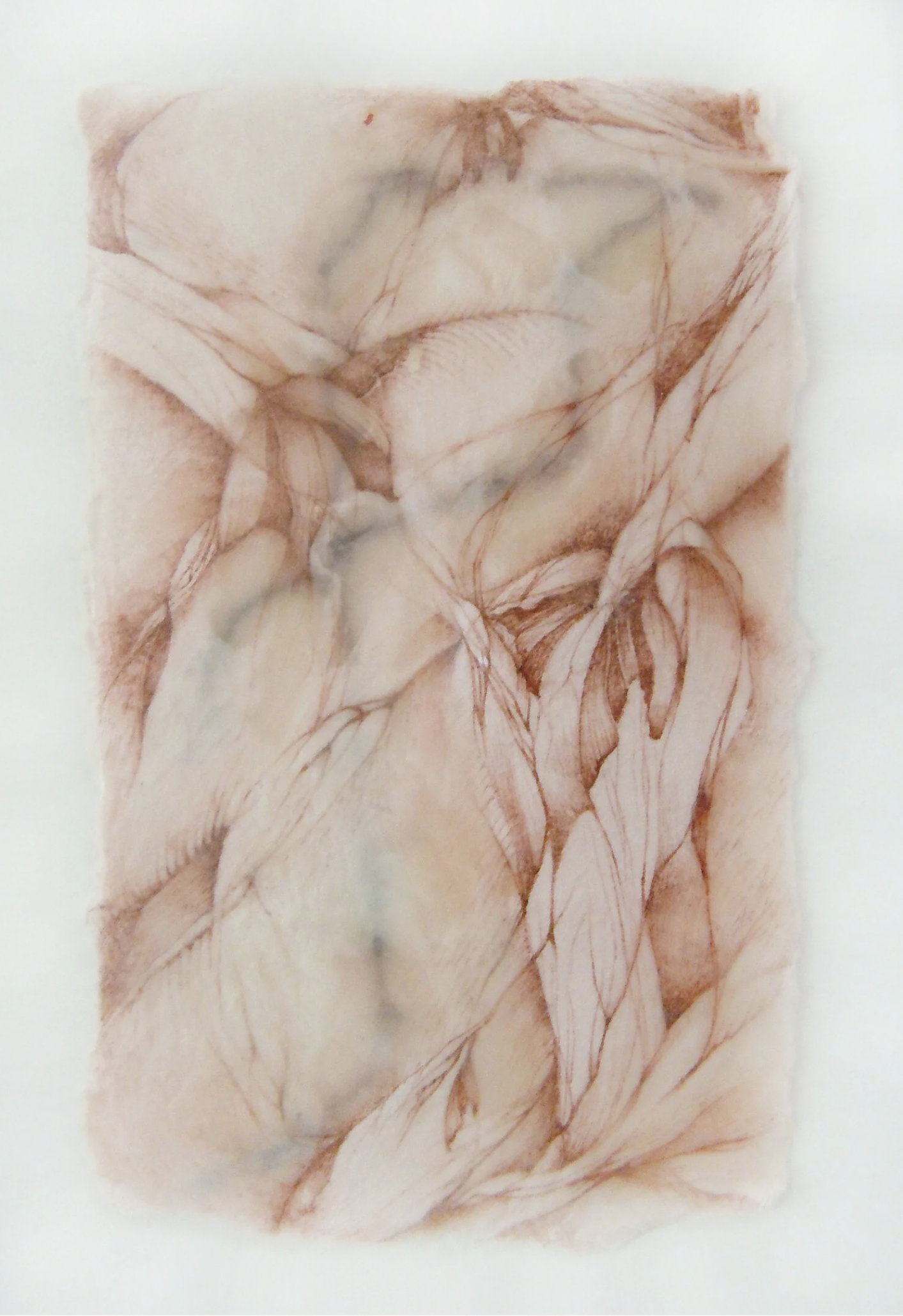 Screenshot 2026-03-18 at 1.17.16 PM.png