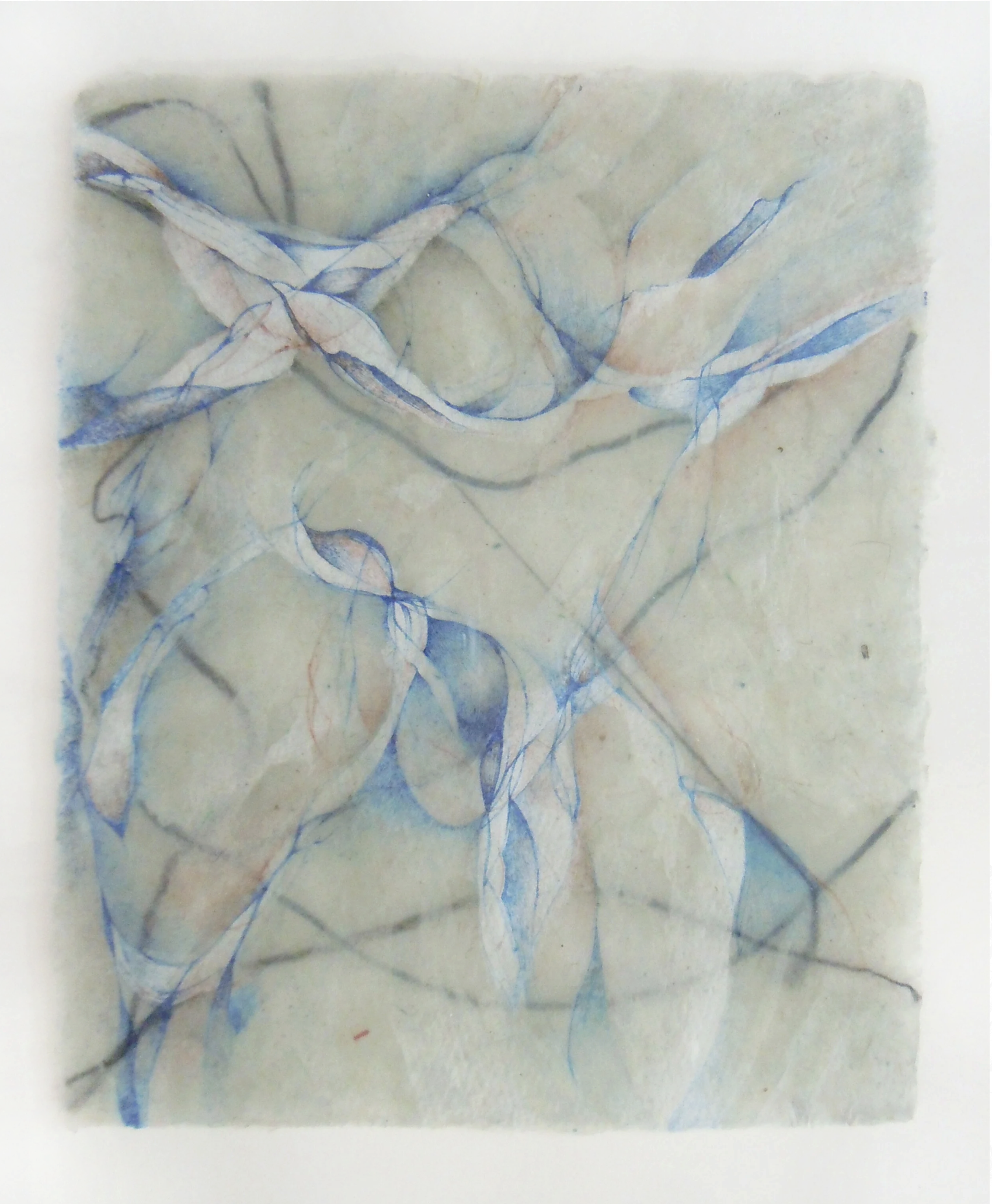 Screenshot 2026-03-18 at 1.17.07 PM.png