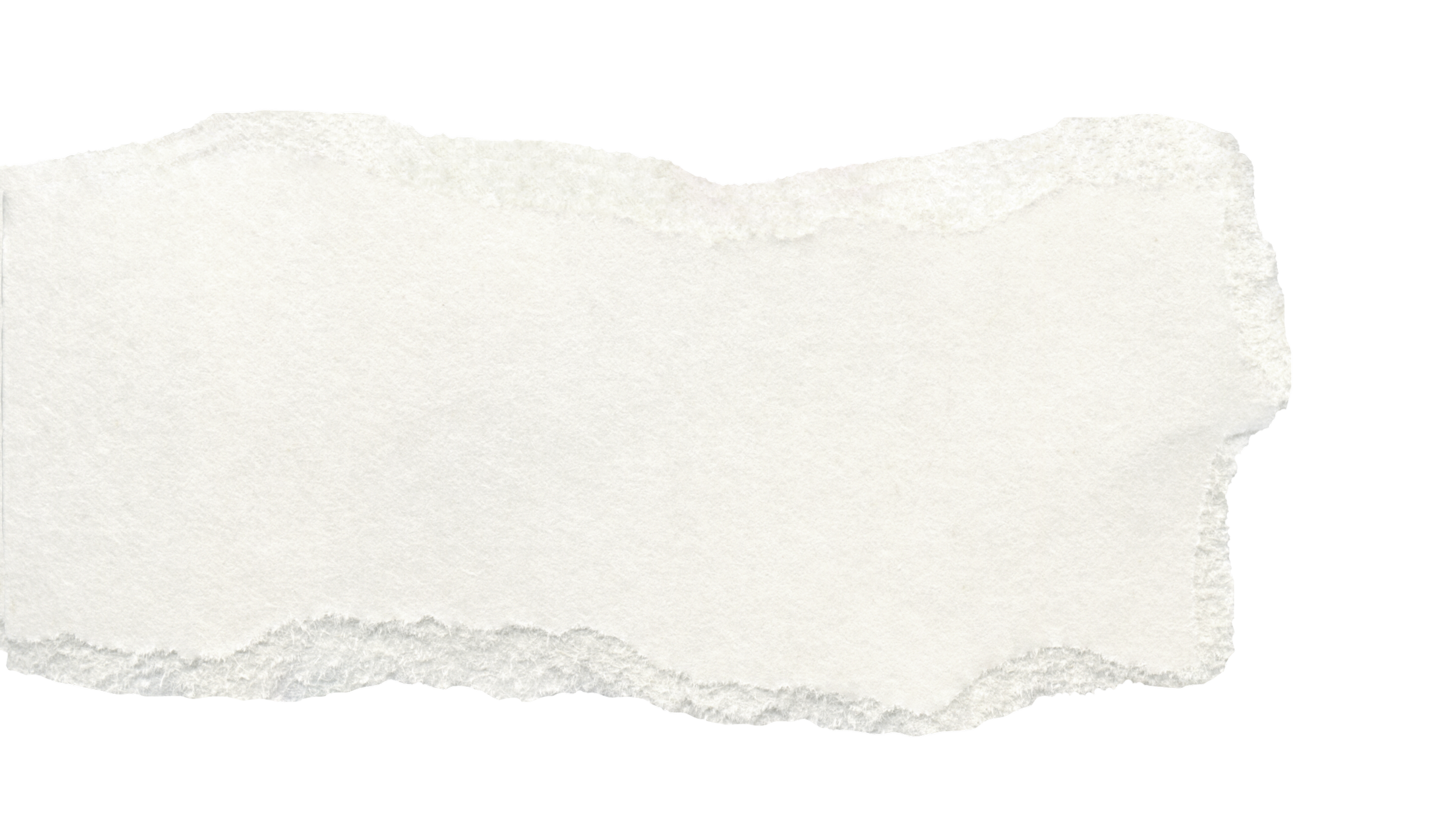 A torn piece of plain white paper with rough, uneven edges.