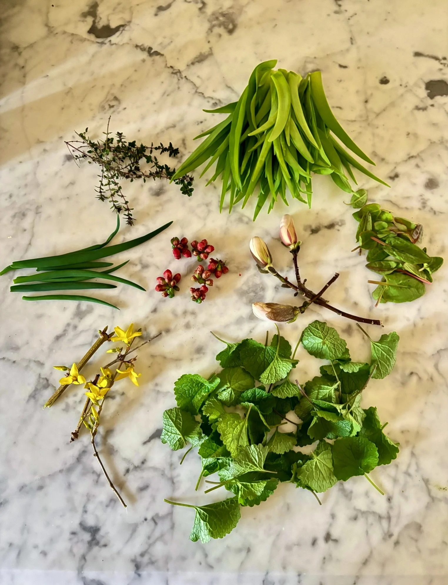 Various fresh herbs and flowers arranged on a marble surface, including thyme, rosemary, pink peppercorns, magnolia branch, mint leaves, yellow flowers, and green foliage.