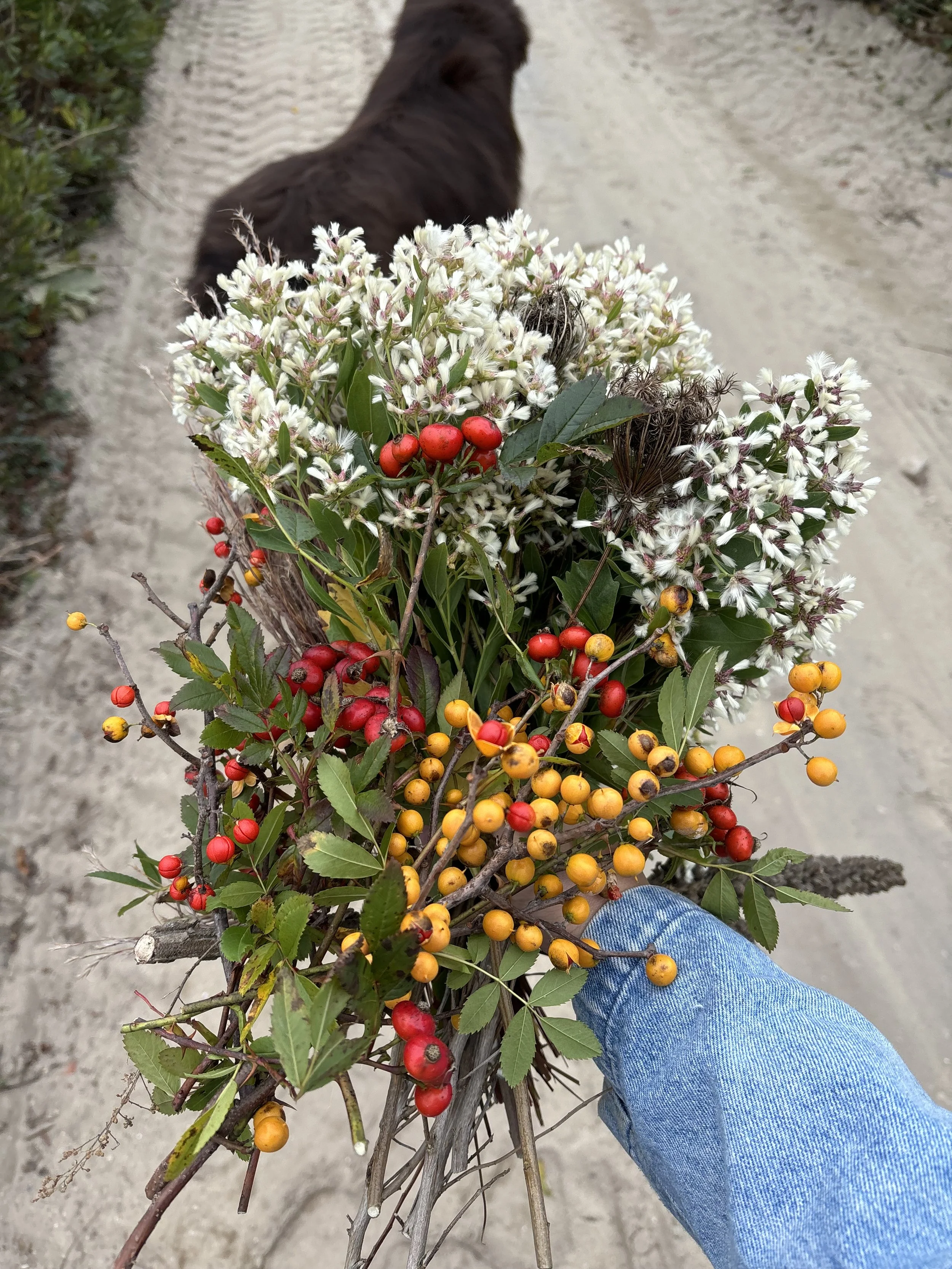 Picking garnish for our private dinners, Tashmoo, Martha’s Vineyard