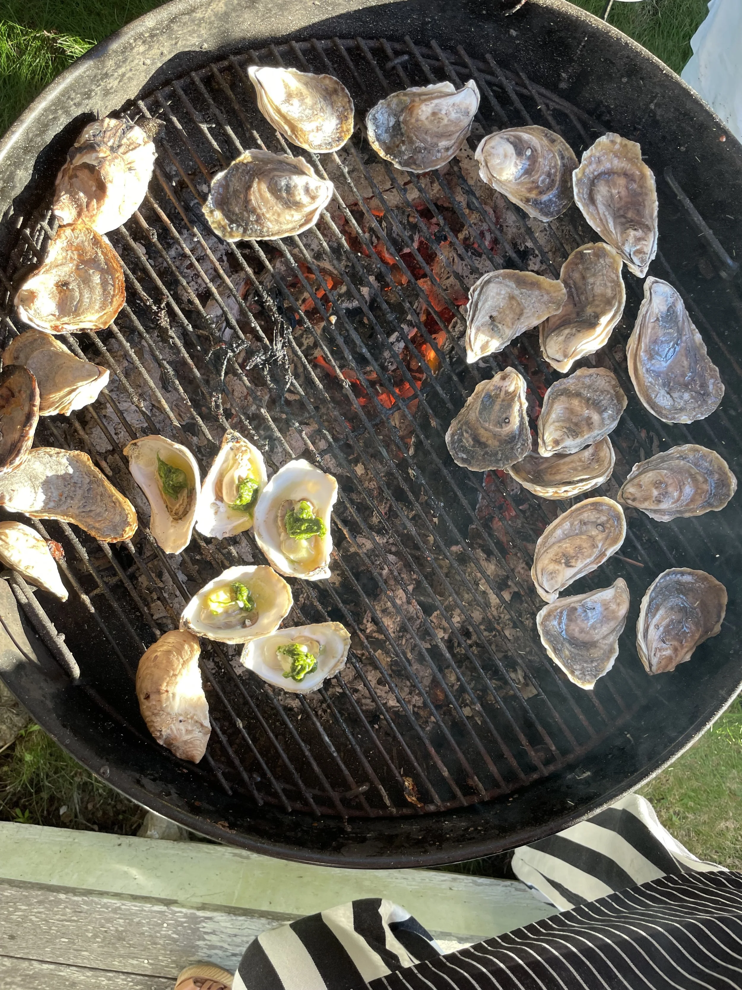 Barbecue grill with oysters, some of which are open showing green garnishes inside.