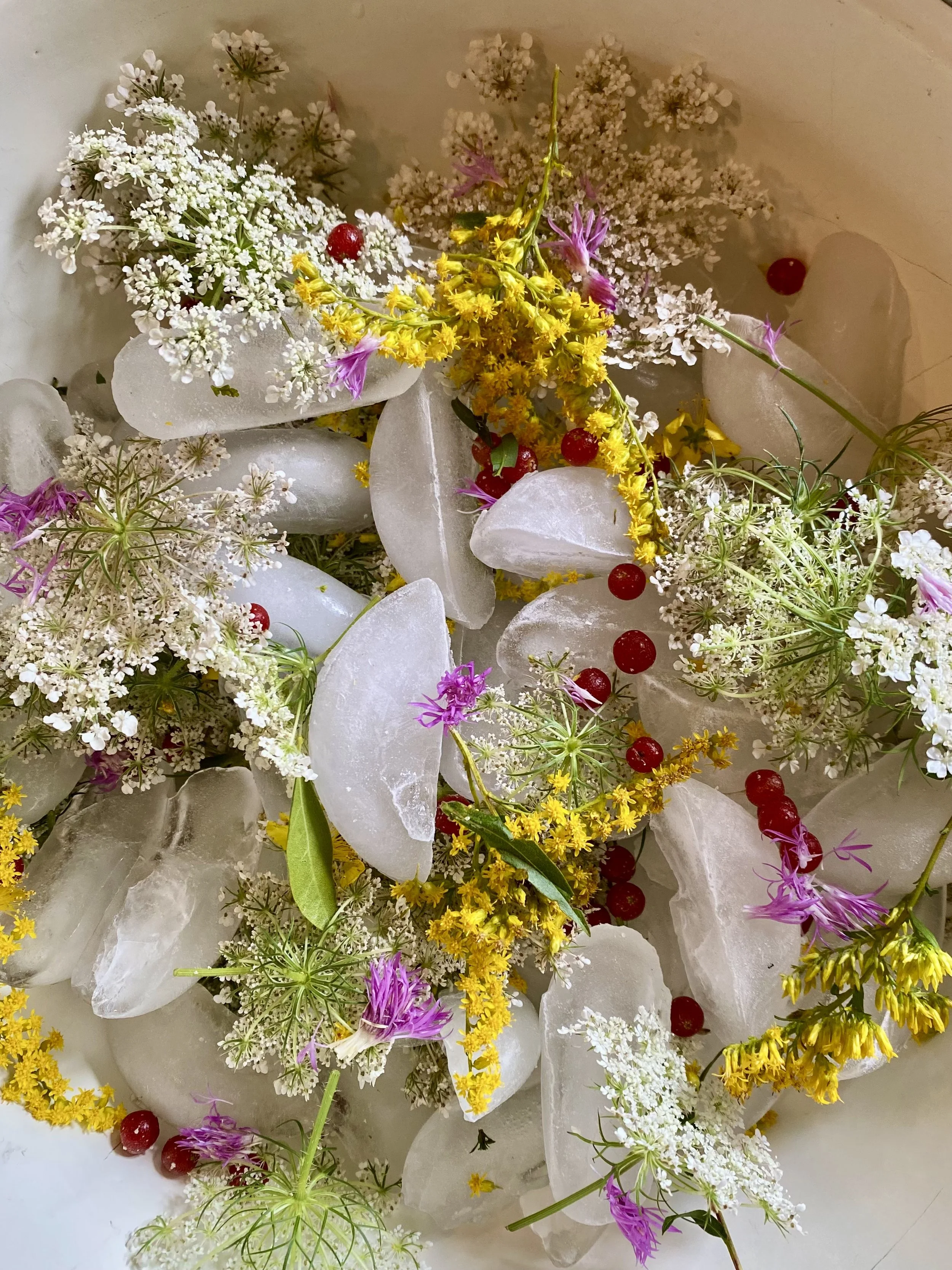 Assorted flowers and ice cubes, including white, yellow, pink, and red blooms.