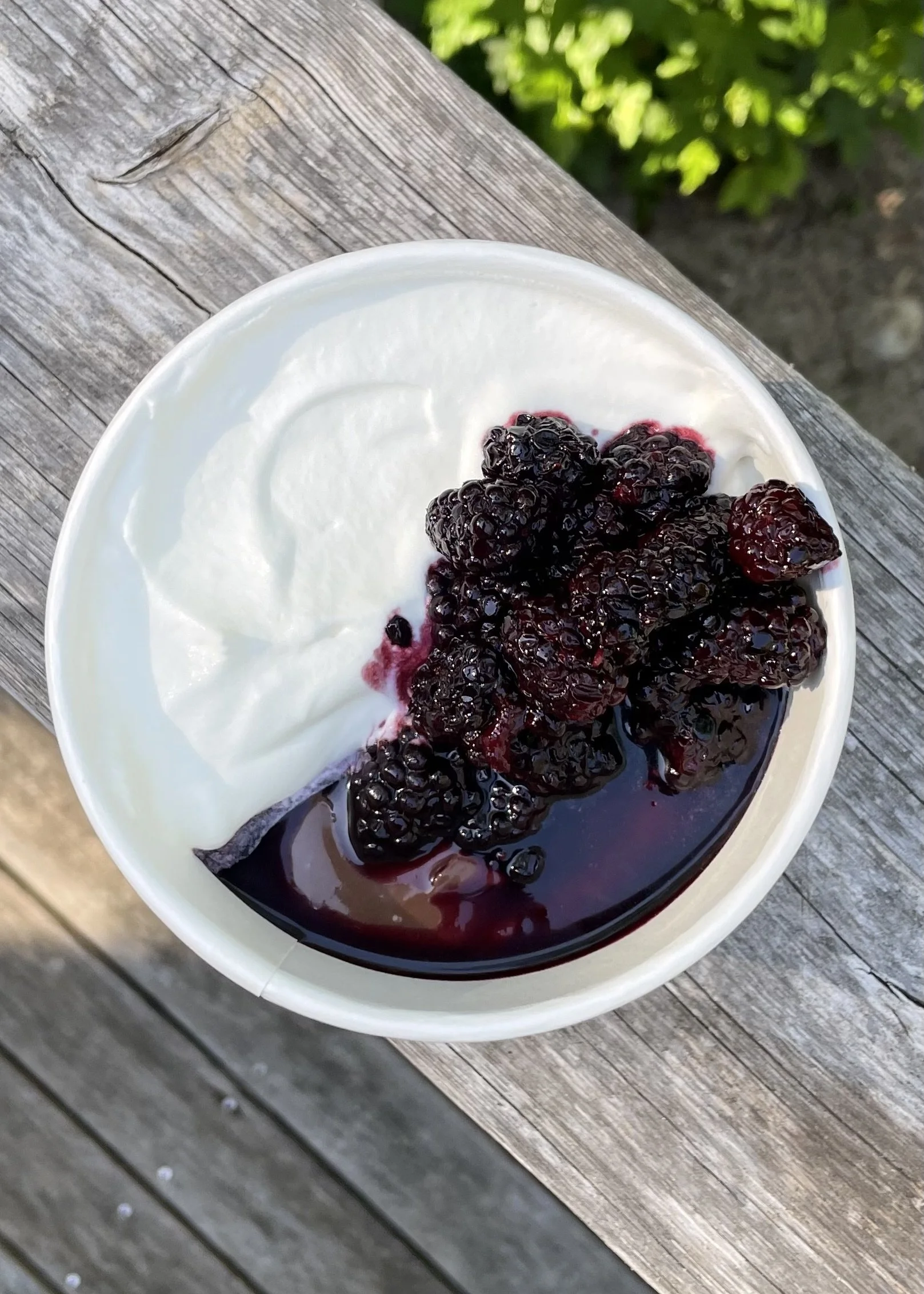 A white paper cup filled with yogurt topped with blackberries and berry syrup, placed on a weathered wooden surface outdoors.