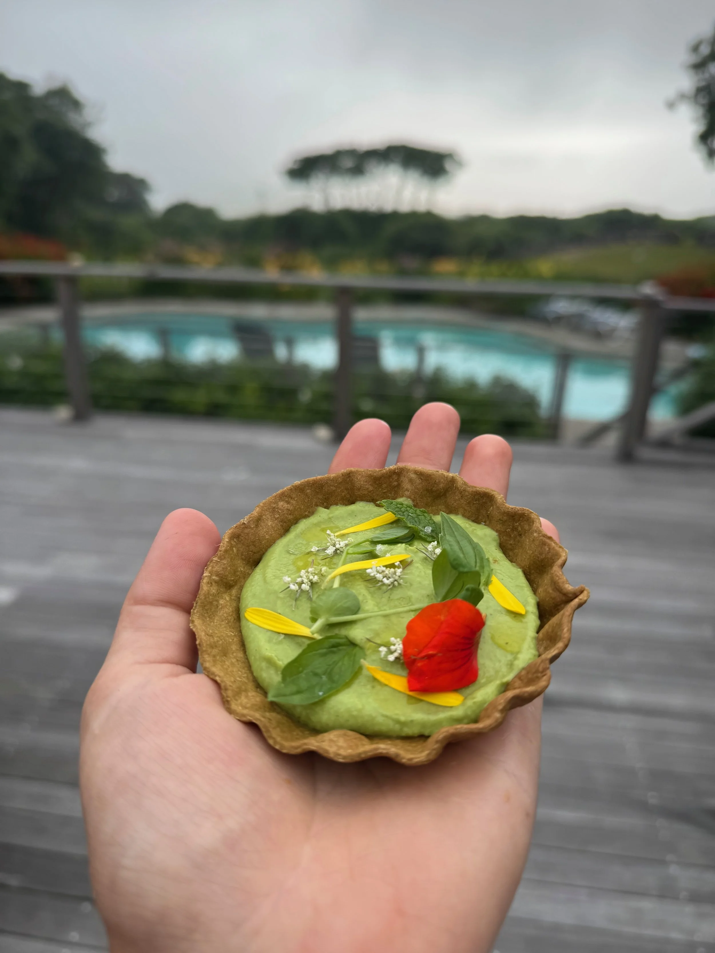 Hand holding a small tart with green filling, garnished with edible flowers, green leaves, and a red flower petal, with a blurred outdoor background of a pool, trees, and cloudy sky.