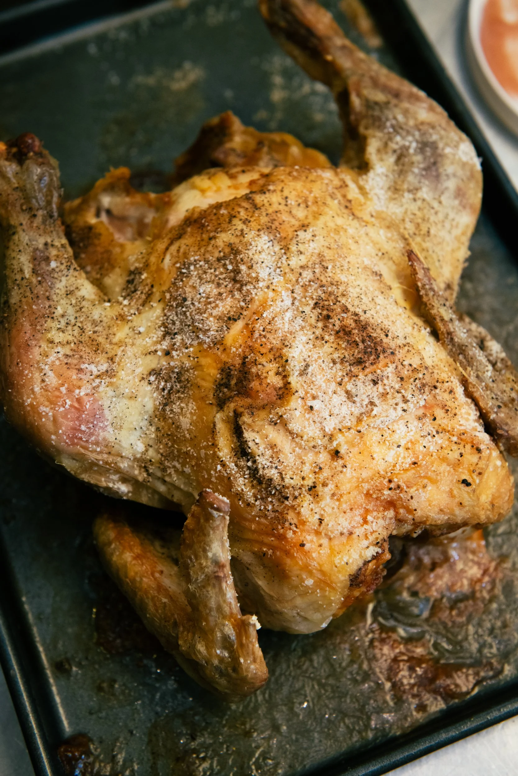 Chicken dinner Martha’s Vineyard