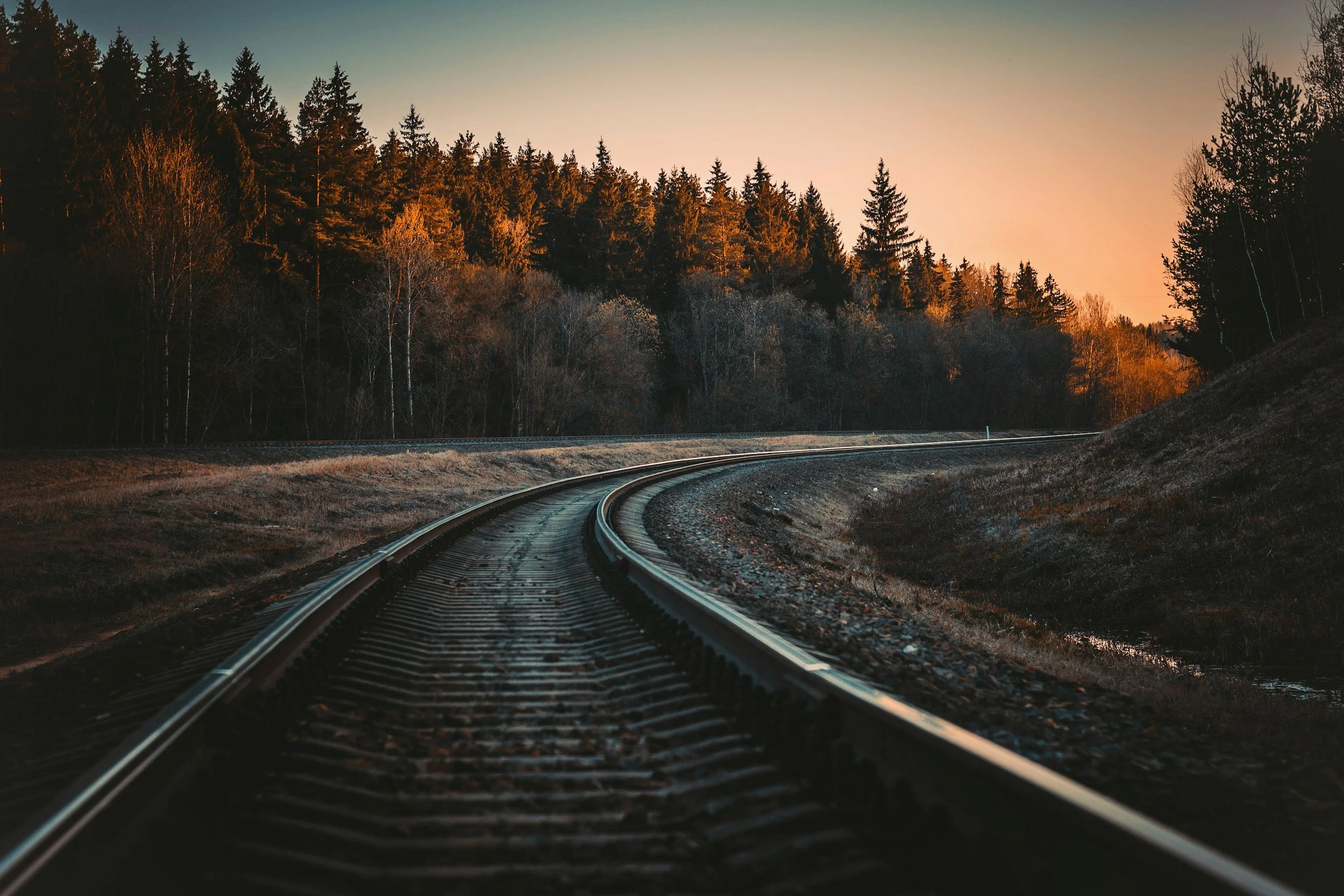 A railway track curving through a forested area at sunset, with trees on both sides and a clear sky in the background.