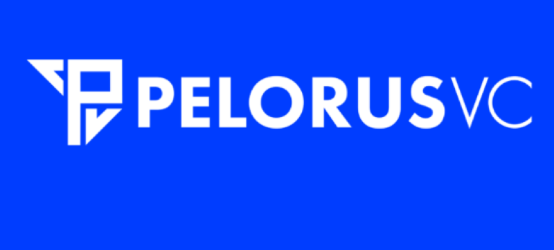 Pelorus VC logo.