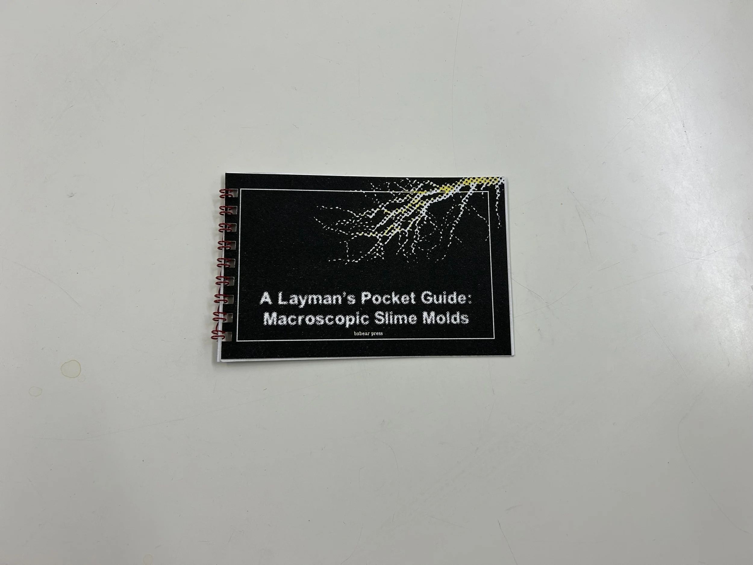 Pocket Guide: Slime Molds