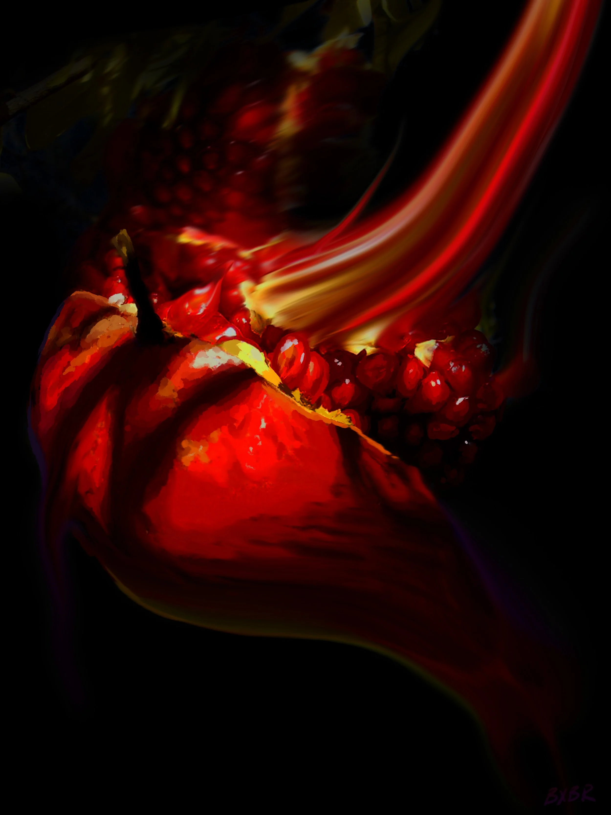 "Pome" – Available for prints – 11in x 17in – $35/ print