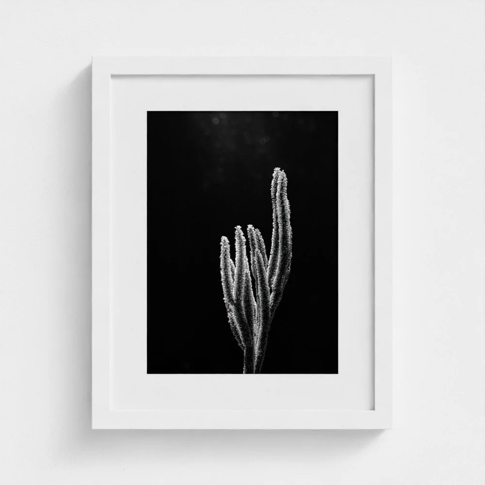 prodigi-GLOBAL-BOXM-11X14-glaze_acrylic _ perspex-frame_box-papertype_ema-substrateweight_200gsm-mount_2.4mm-mountcolour_snow white-framecolour_white (3).jpg