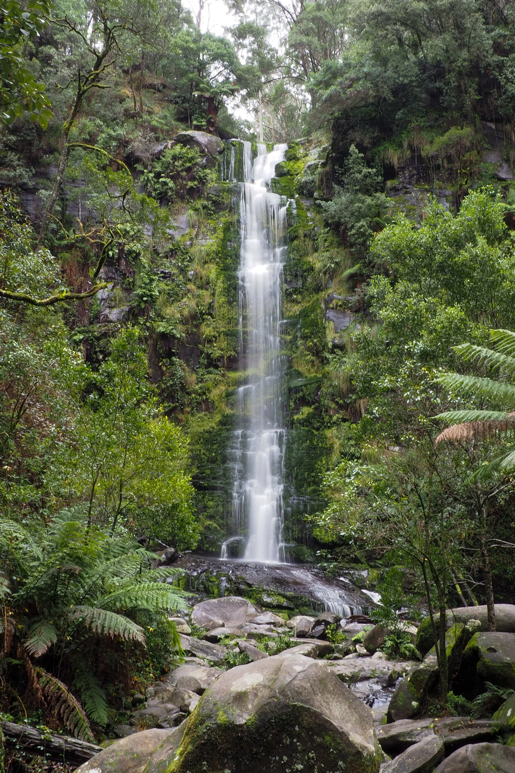A tall, slender waterfall flowing down a moss-covered rocky cliff surrounded by lush green trees and plants in a dense forest.