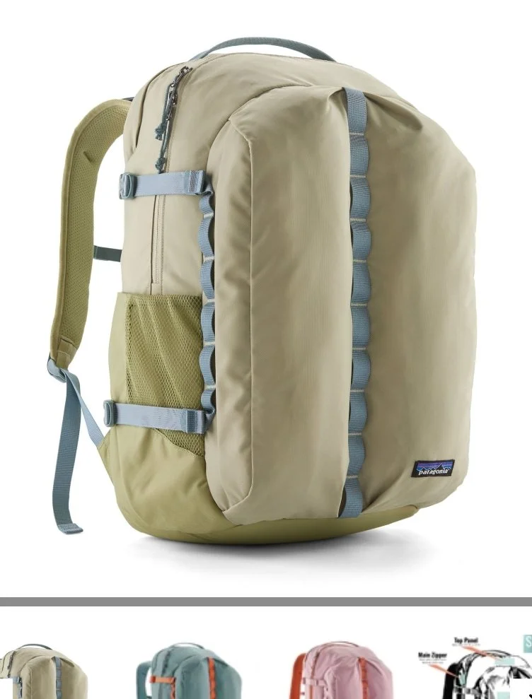 Patagonia - Refugio Daypack 32L