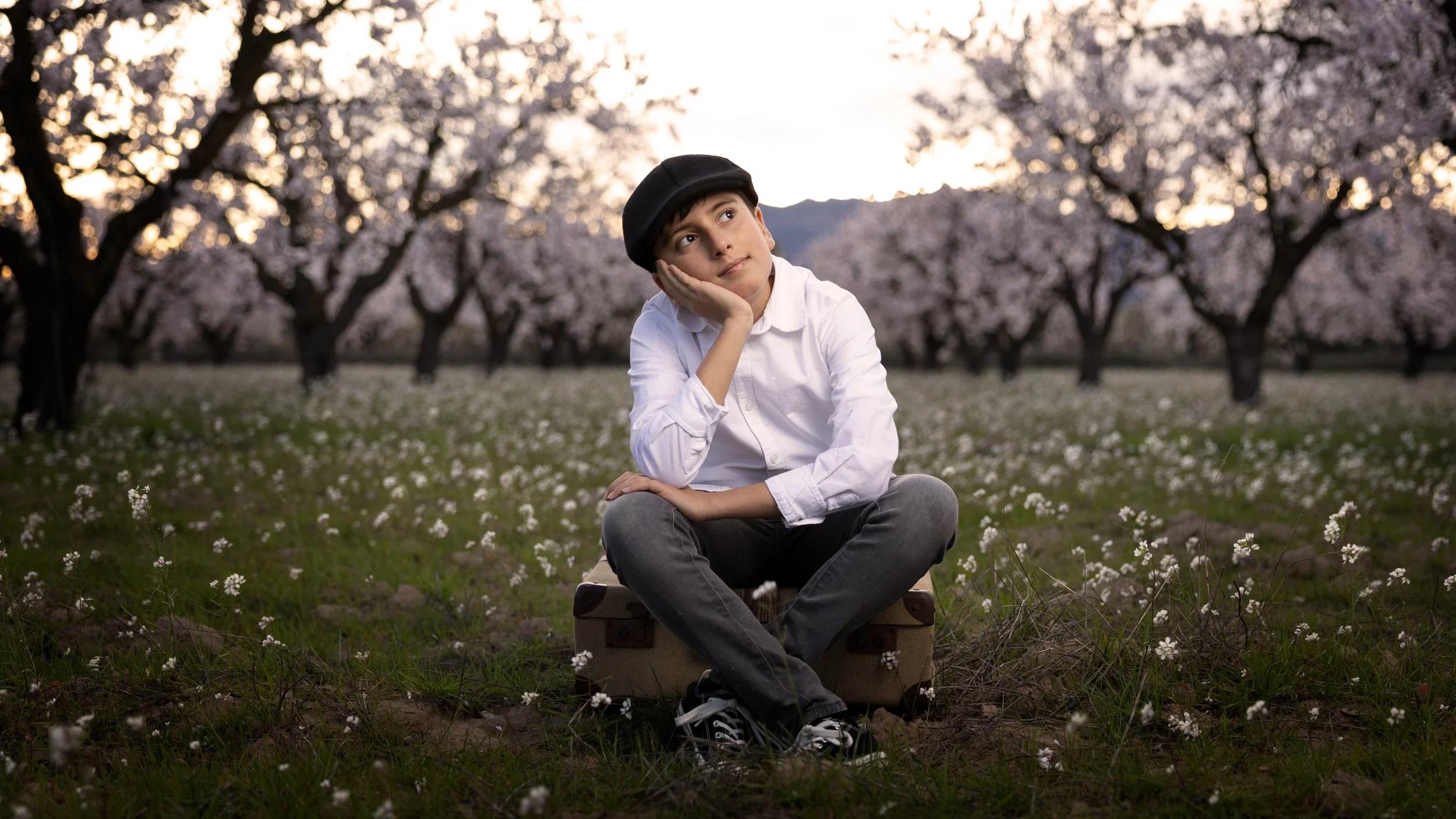 Joven sentado sobre una maleta en un campo con árboles floridos en primavera, en una tarde soleada.
