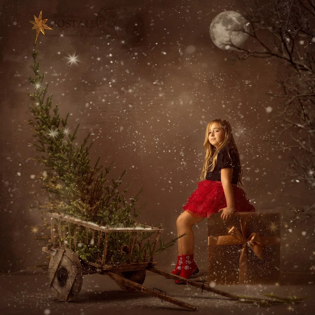 Niña con vestido negro y falda roja, sentada en un trineo con un árbol de Navidad, rodeada de nieve, con un regalo grande, y la luna visible en el cielo nocturno.