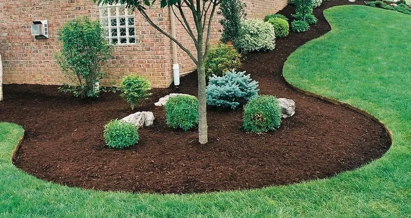 Mulch Stabilization