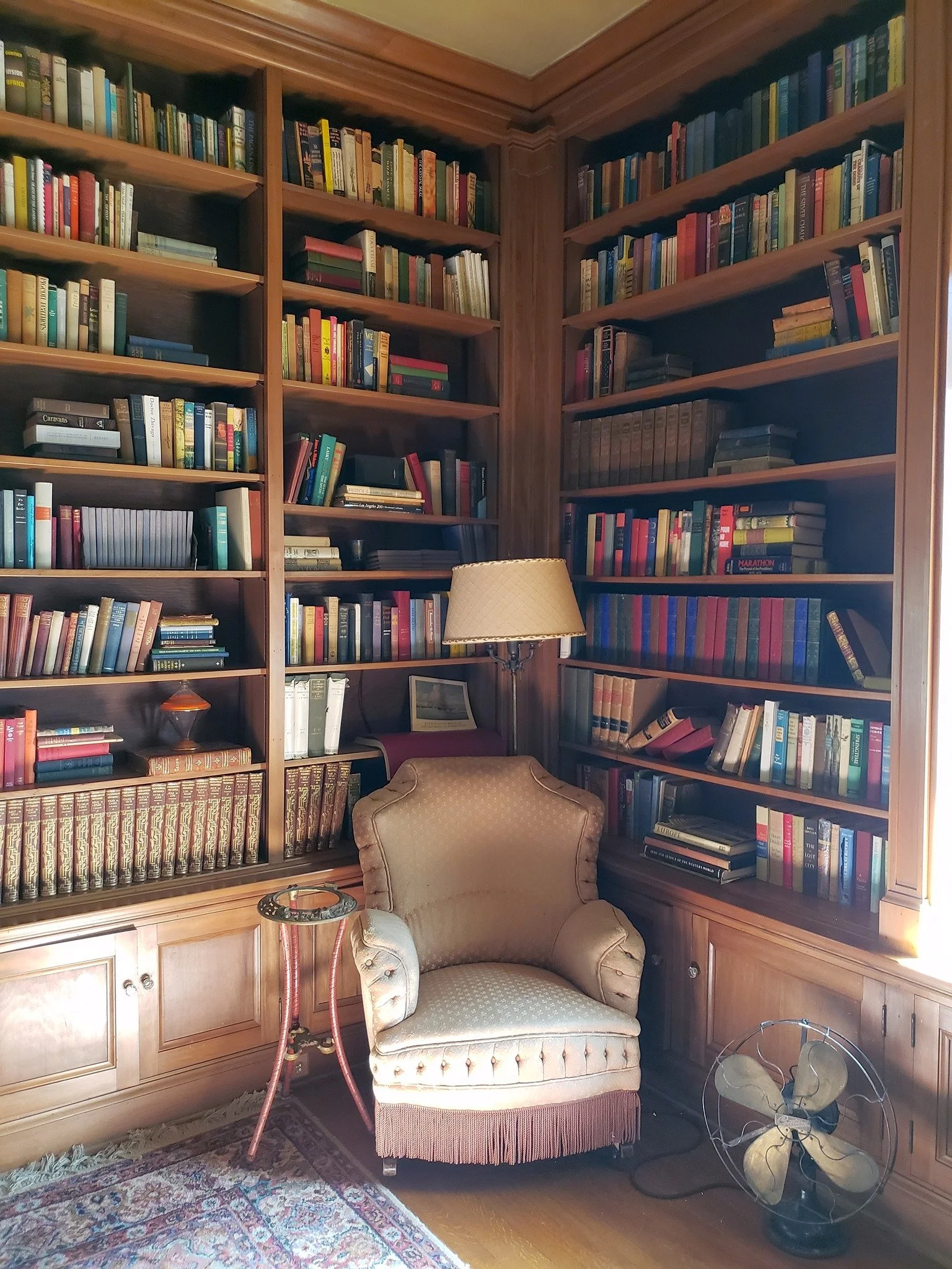 Library Shelf