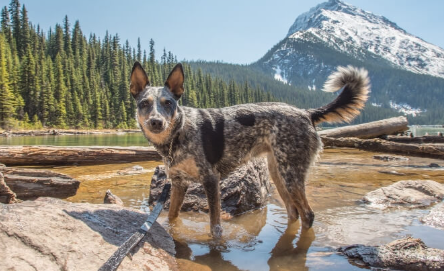 Adventure Hike