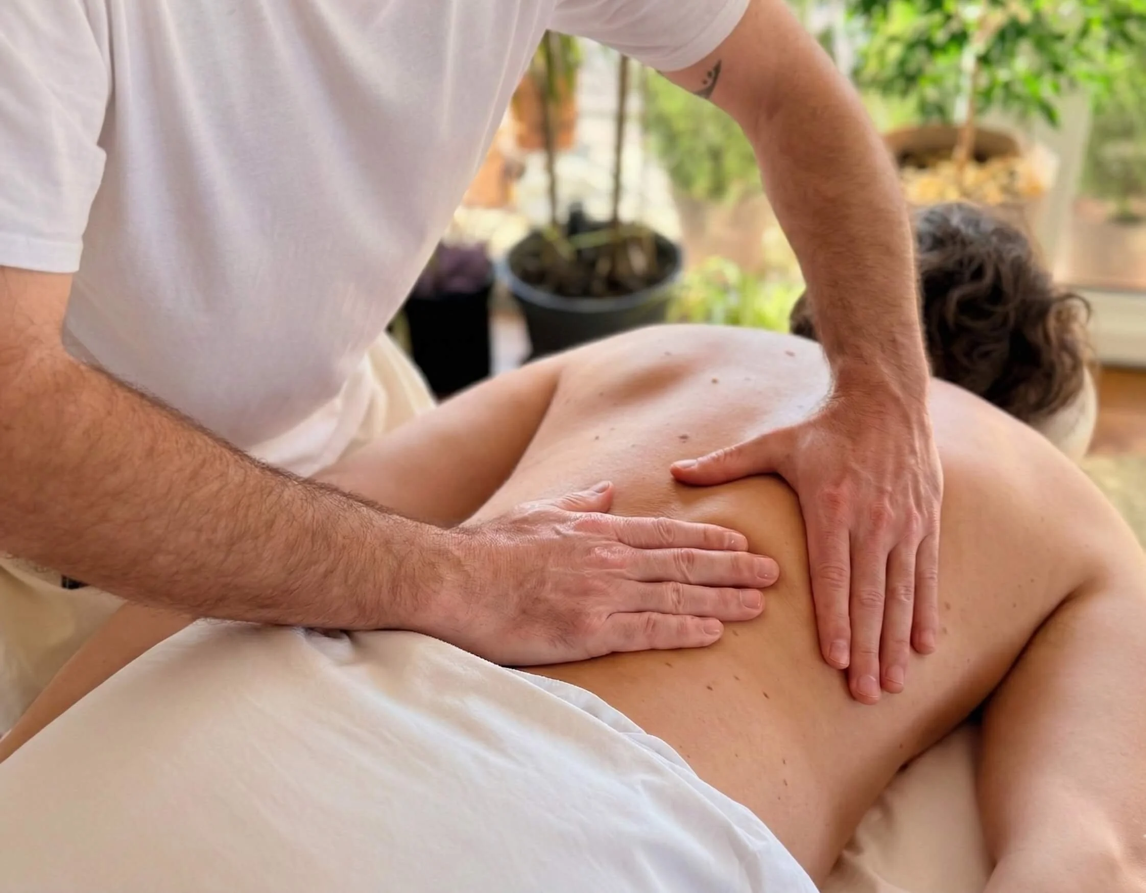 Osoba prima masažu od terapeuta u svijetloj prostoriji punoj biljaka.