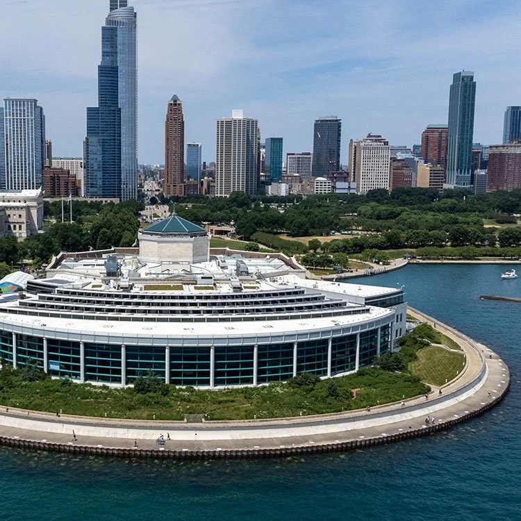 sq_Shedd_Aquarium_attrib-CC4.jpg