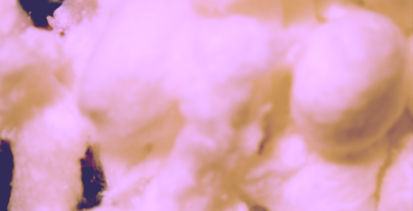 Screenshot 2026-03-24 at 7.10.37 PM.png