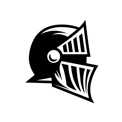 Knight helmet