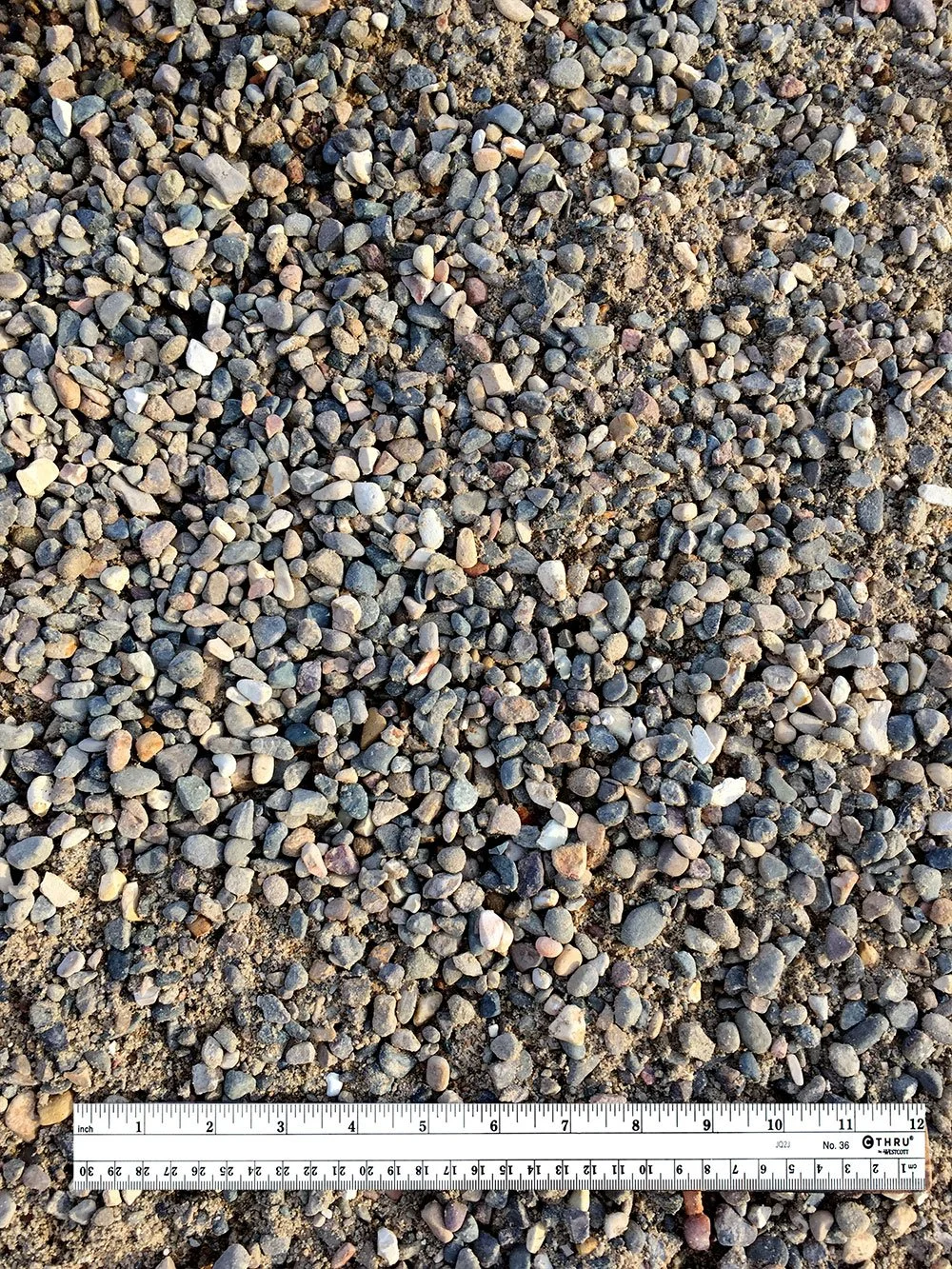 Close-up of small multicolored gravel rocks on sandy surface with a ruler at the bottom for scale, measurements in inches and centimeters.