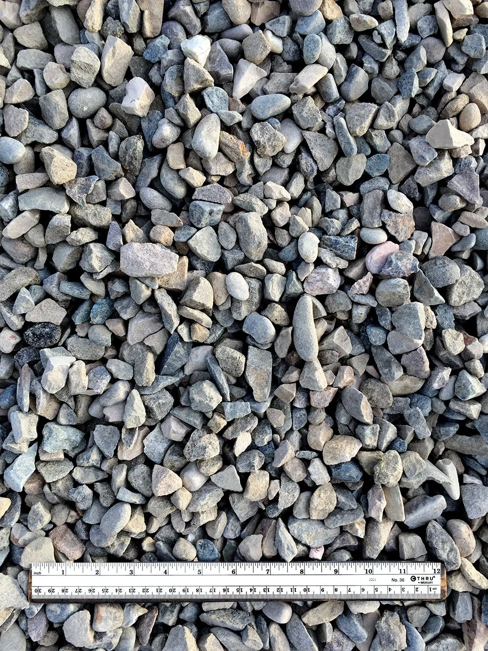 A close-up view of small gray and beige gravel stones with a measuring ruler at the bottom showing about 12 inches.
