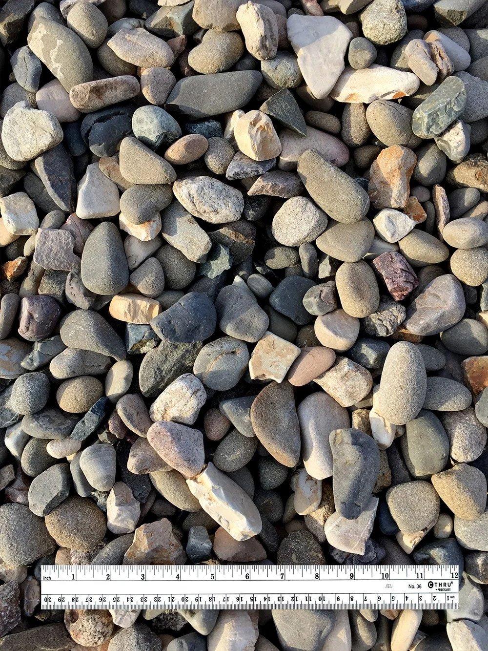 A close-up of various small, smooth, multicolored rocks and pebbles on a surface, with a ruler at the bottom for scale.