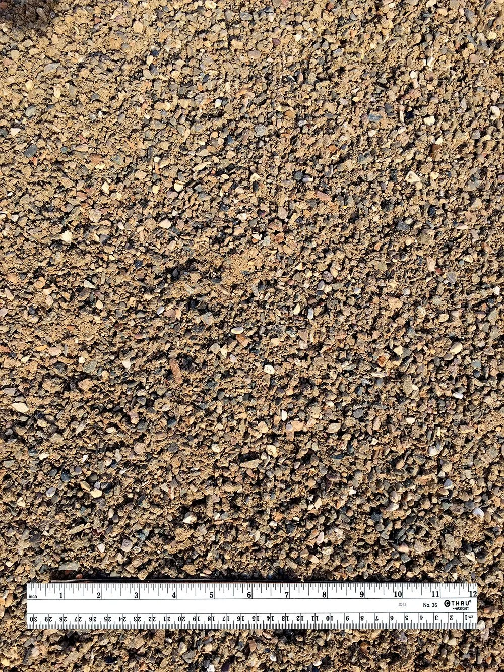Close-up of sandy gravel surface with a black and white ruler at the bottom for scale.