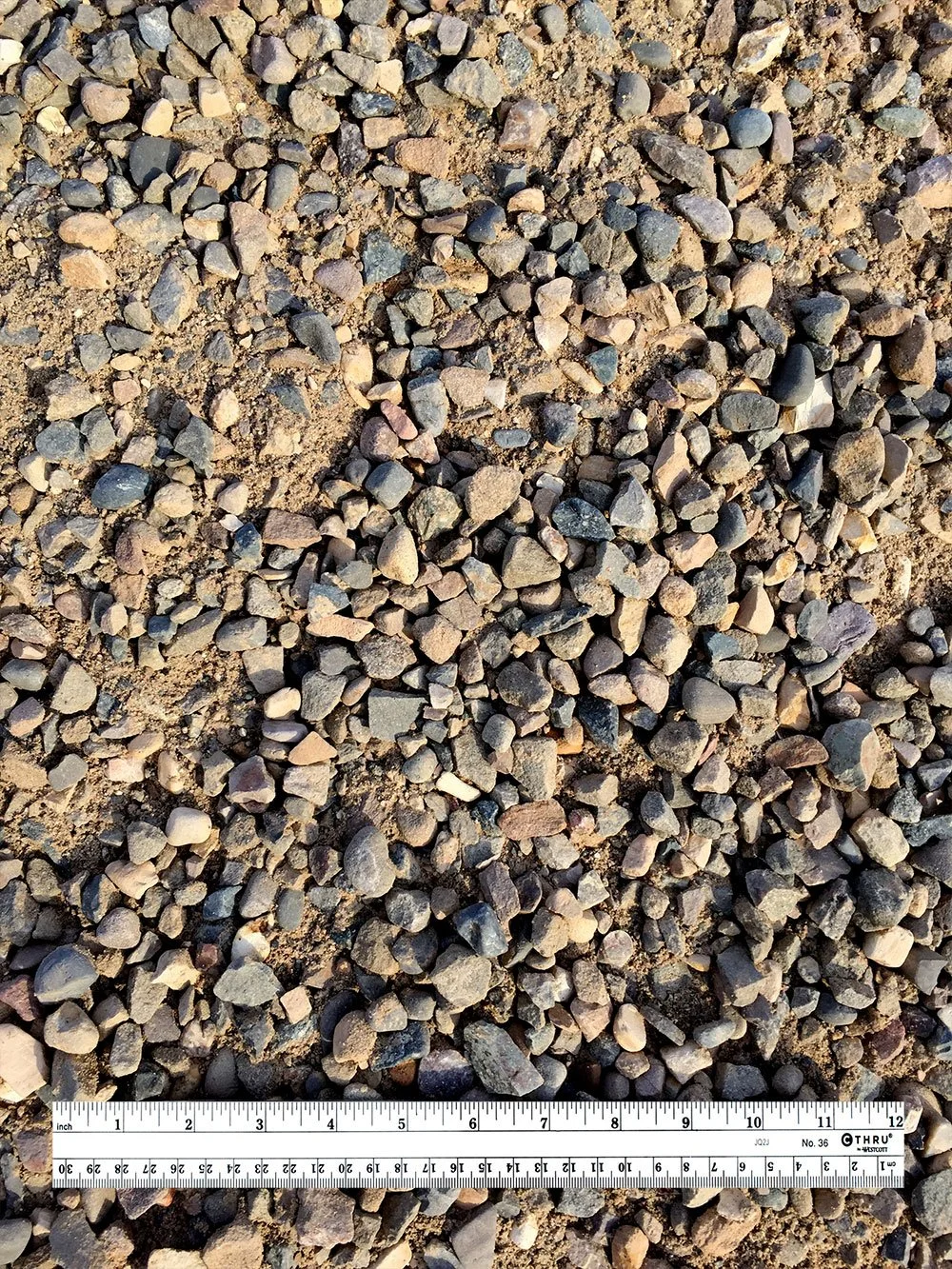 Close-up of loose gravel stones on dirt ground with a measuring ruler at the bottom.