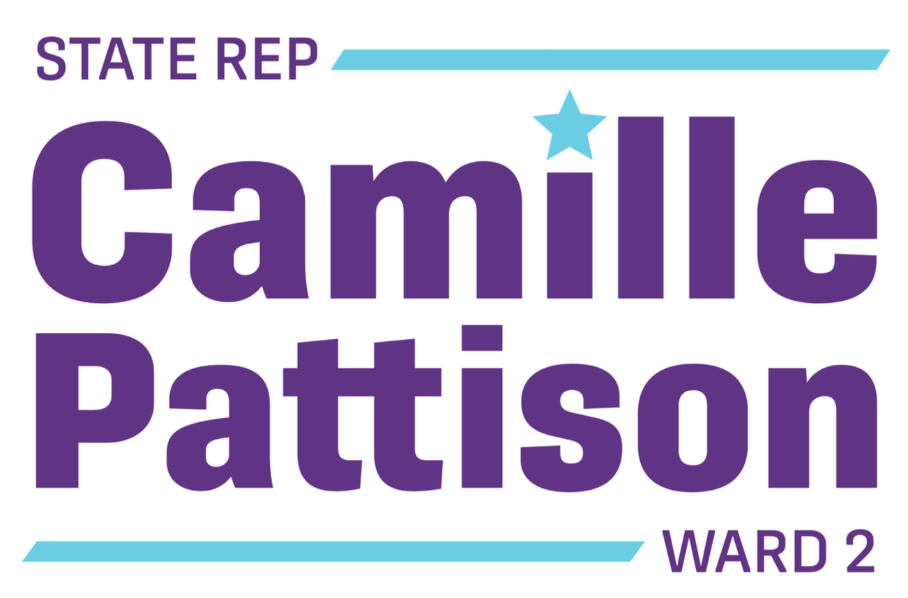 Camille for NH State Representative
