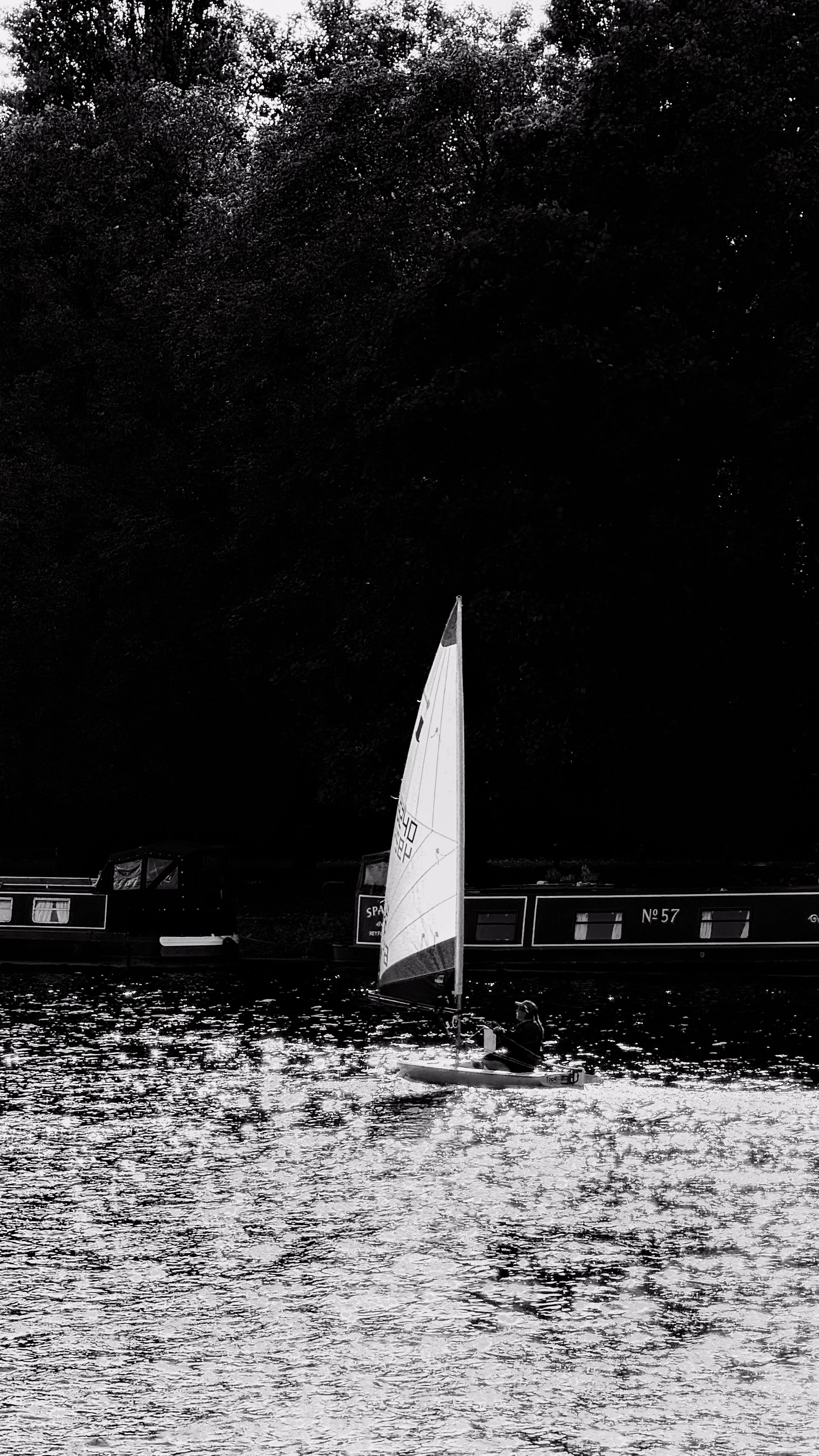 A person sailing a small boat with a sail on a body of water, with dark boats and trees in the background.