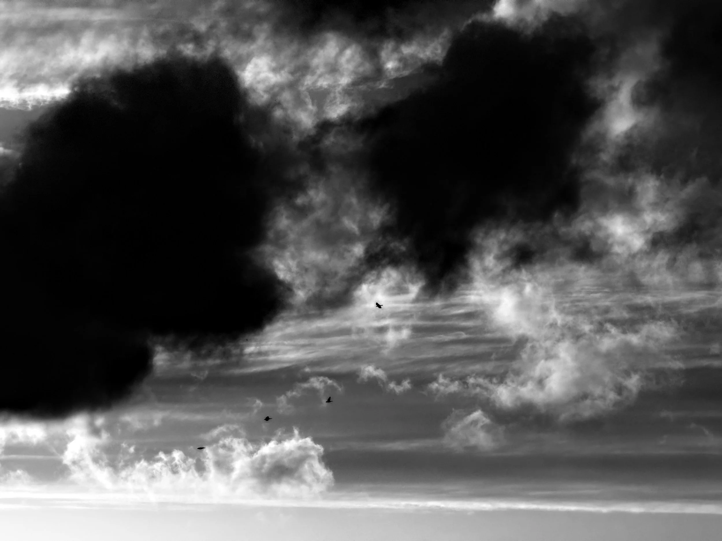 Black and white photo of a sky with large dark clouds, small clouds, and a flock of birds flying.