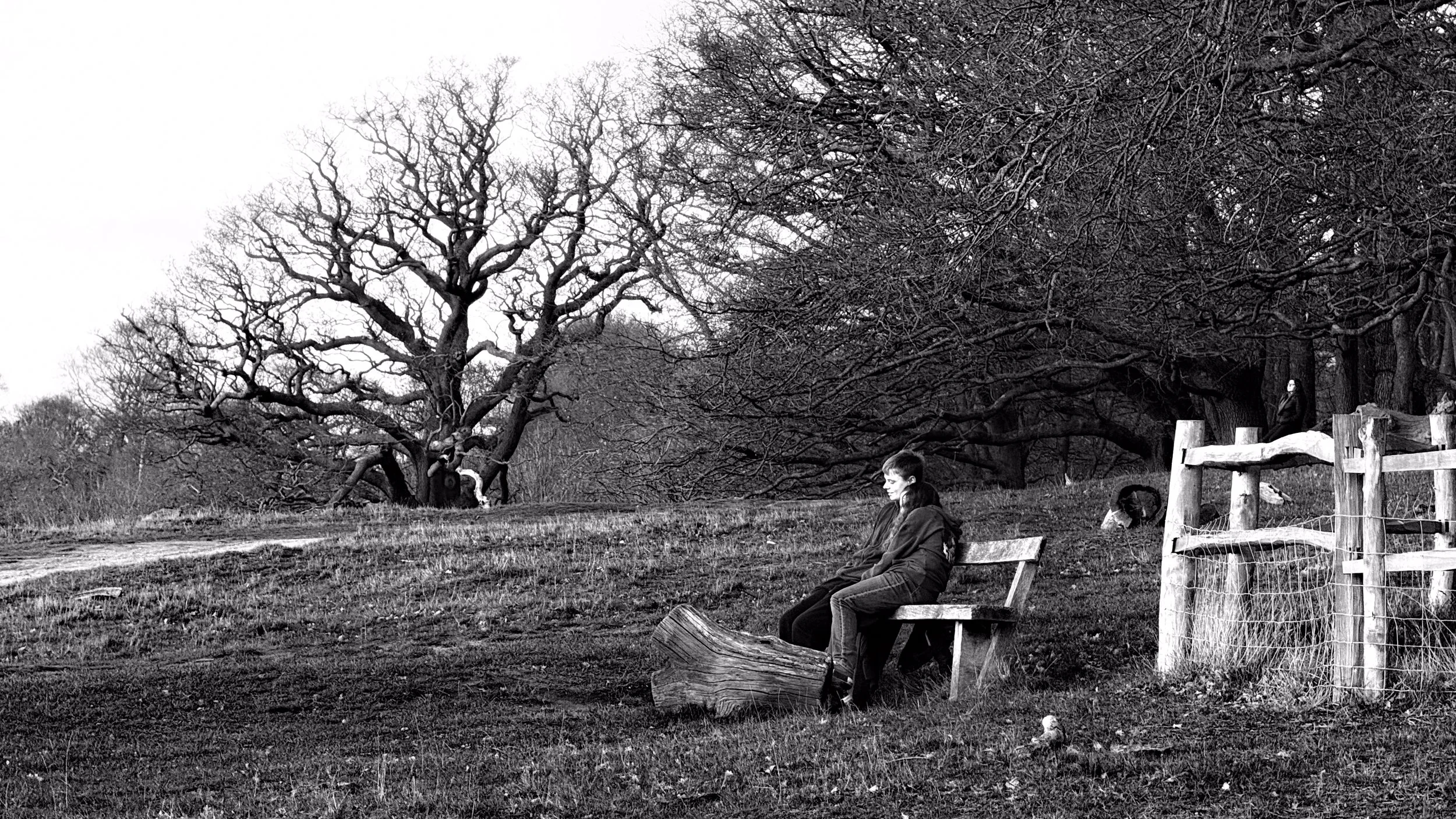 A black and white photograph of a park with bare trees. A boy sits on a bench looking to the right. A woman stands behind a fence in the background.