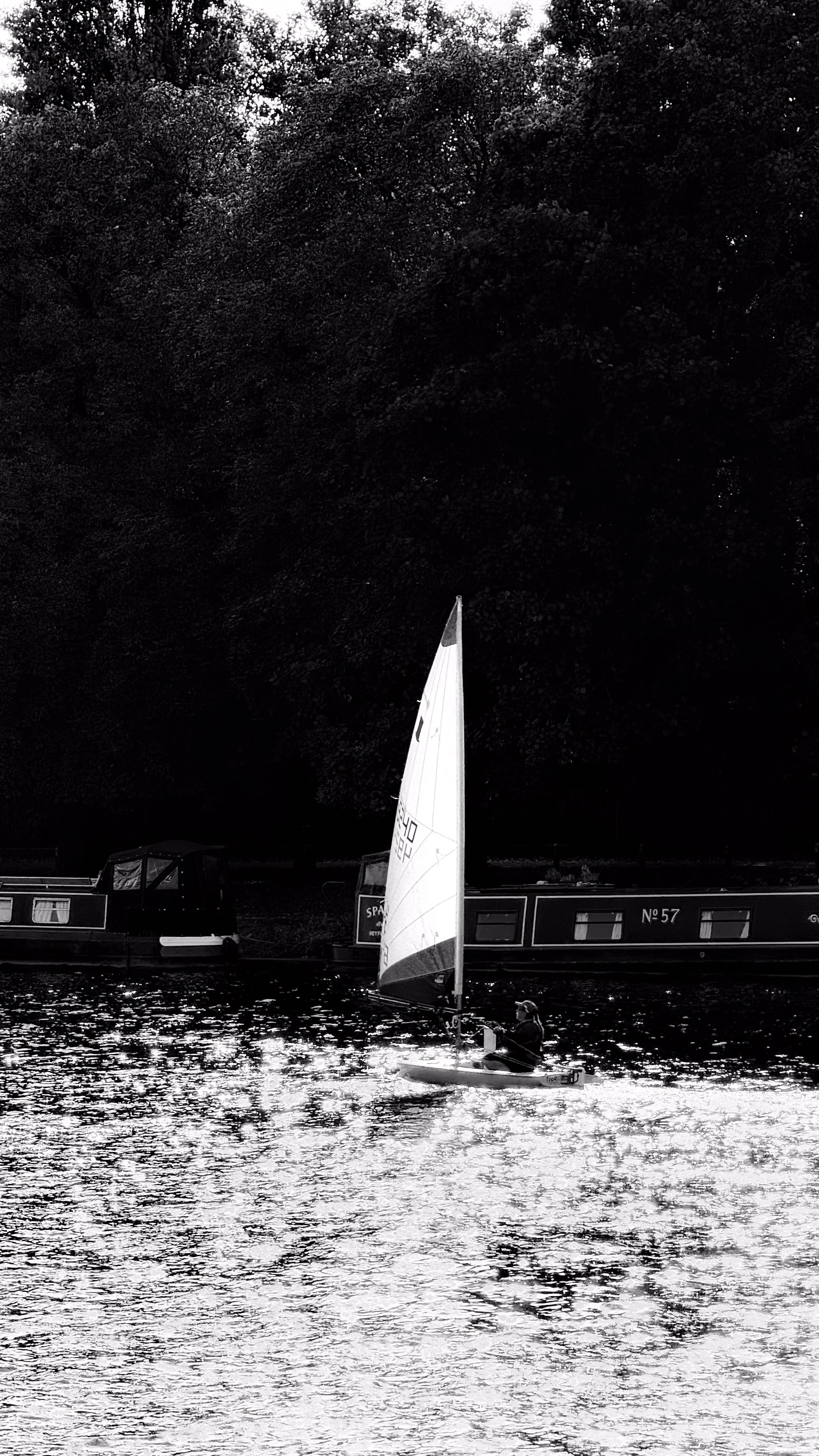A person flying a small sailboat on a body of water, with boats and large trees in the background.