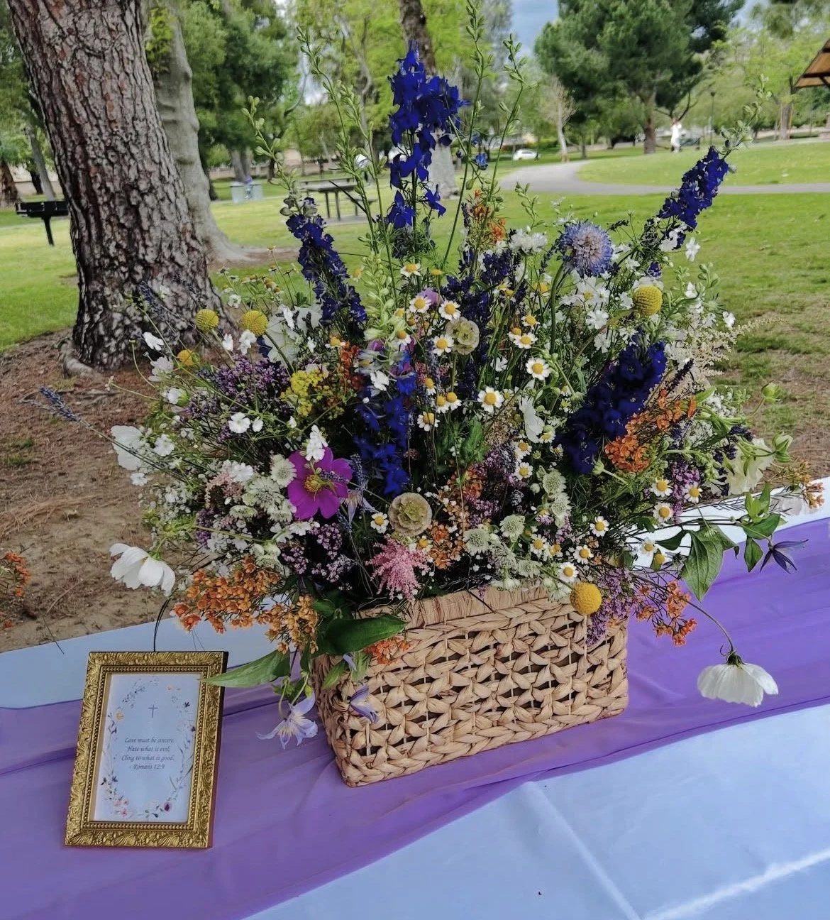 IMG_3152 (1).jpeg