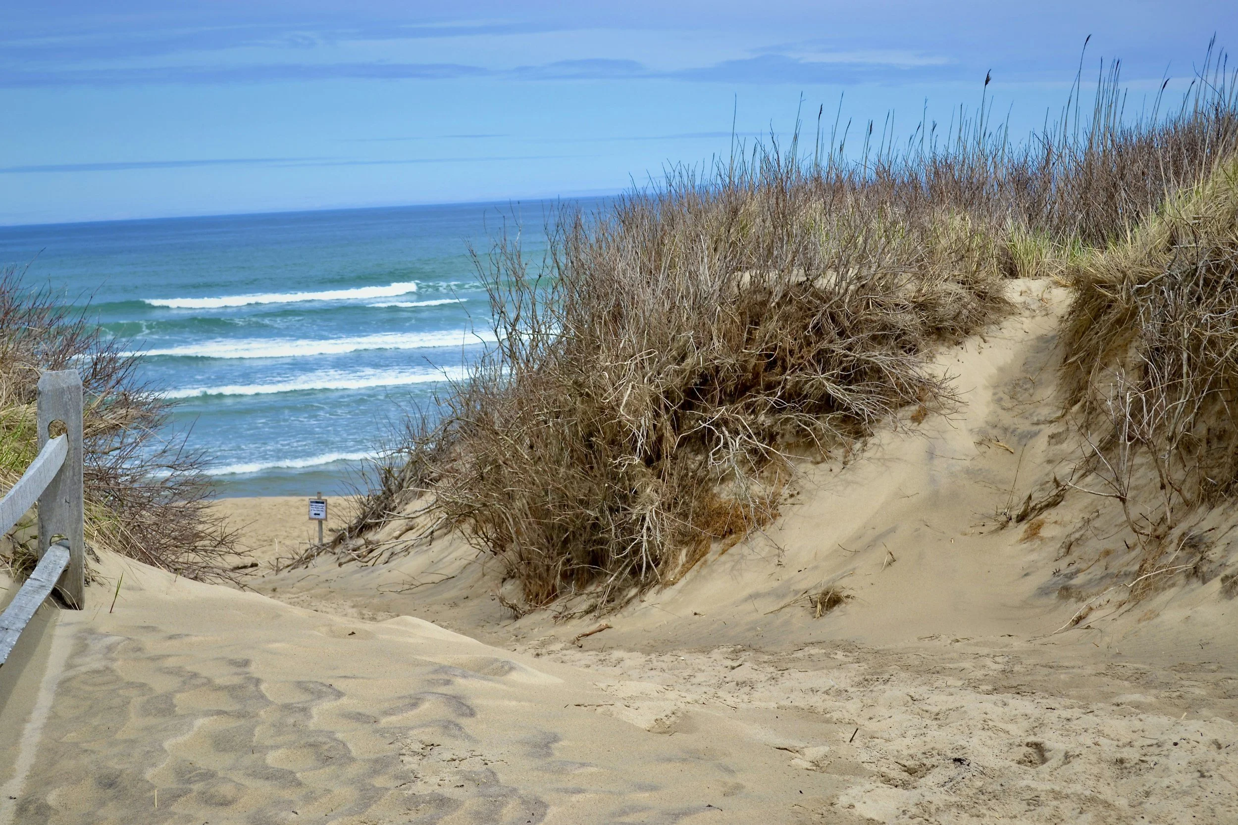 A sandy beach pathway leading through dunes with dry grass, overlooking the ocean with blue sky and gentle waves.