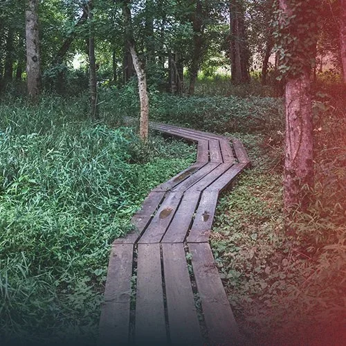 The Sinister Consequence to Taking Shortcuts