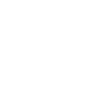 Silhouette of a white American eagle with wings spread, above the text 'American Eagle Outfitters' in white capital letters, on a black background.