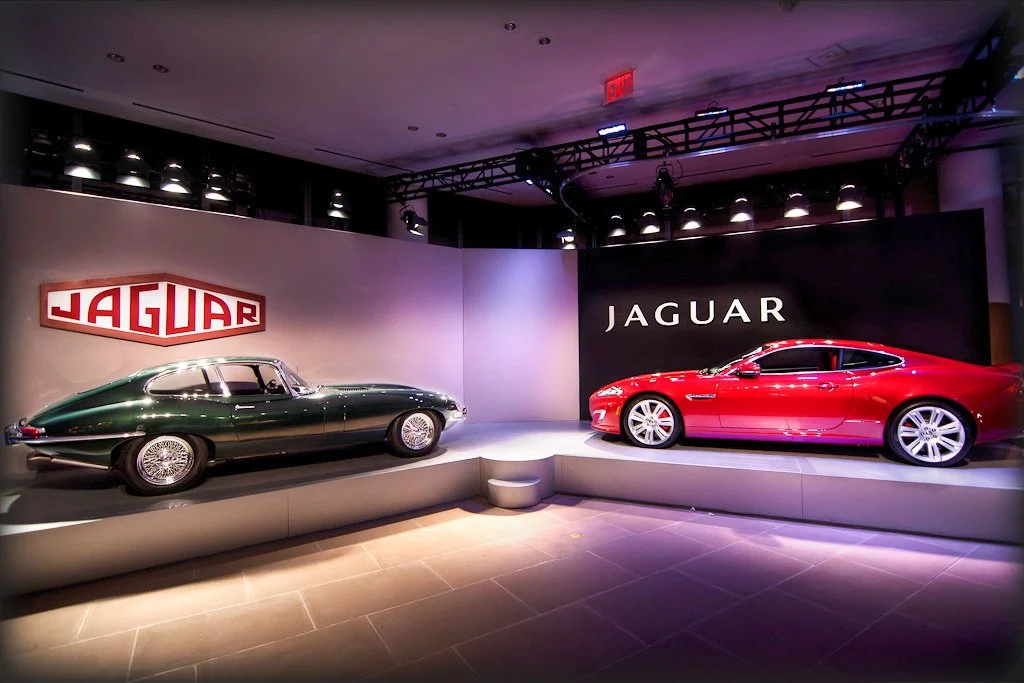 11-Jaguar-15.jpg